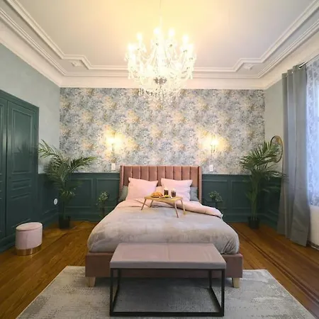 Appartement Royal Jacuzzi De Gamme Centre Mulhouse