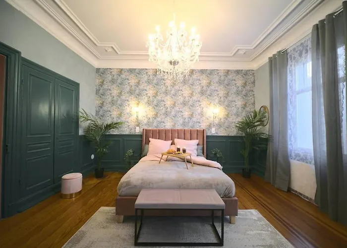 Appartement Royal Jacuzzi De Gamme Centre Mulhouse